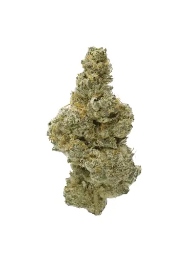 CAMPFIRE GAS PR3X0.5G